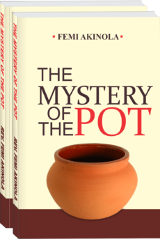 The Mystery Of The Pot
